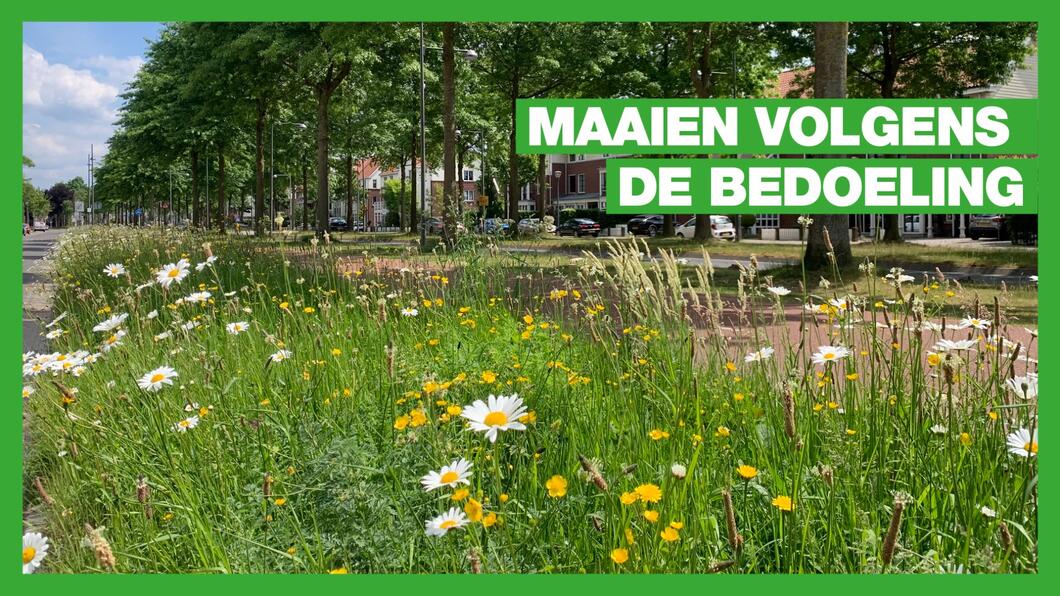 maaien