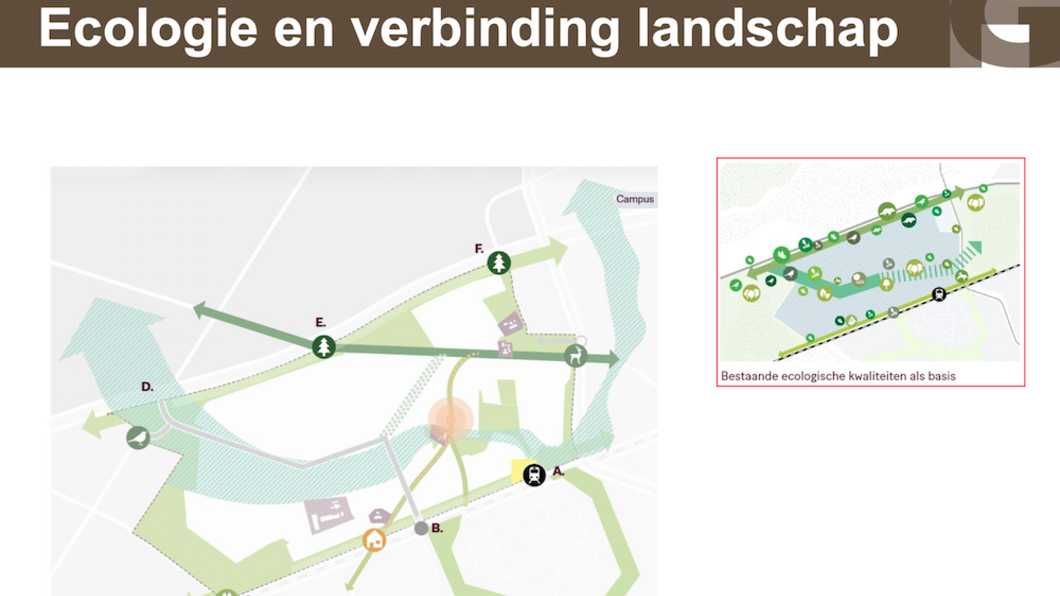 scherm