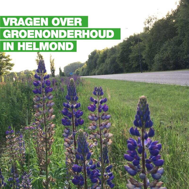 groenbeleid