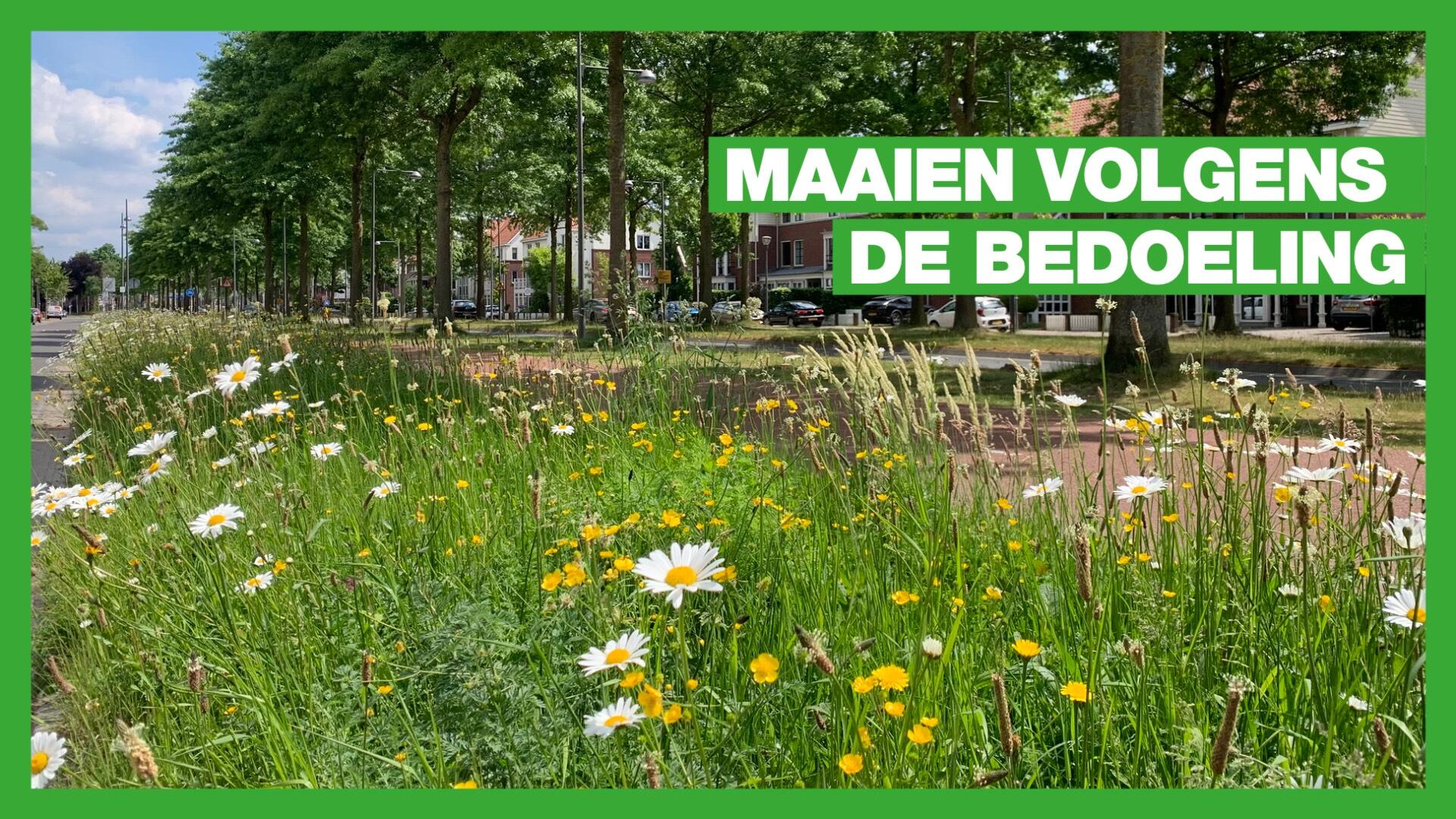 maaien