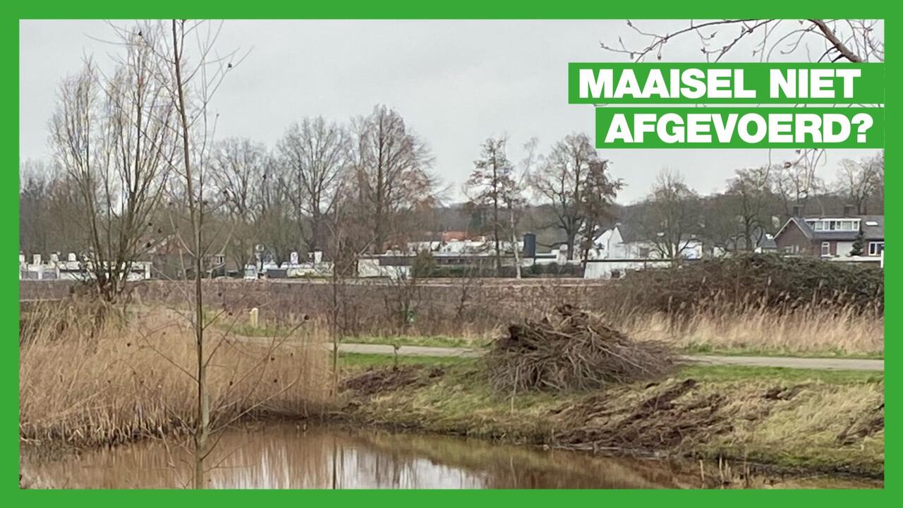 maaisel