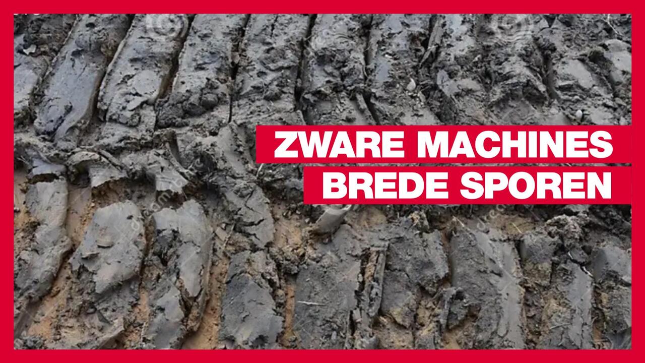sporen