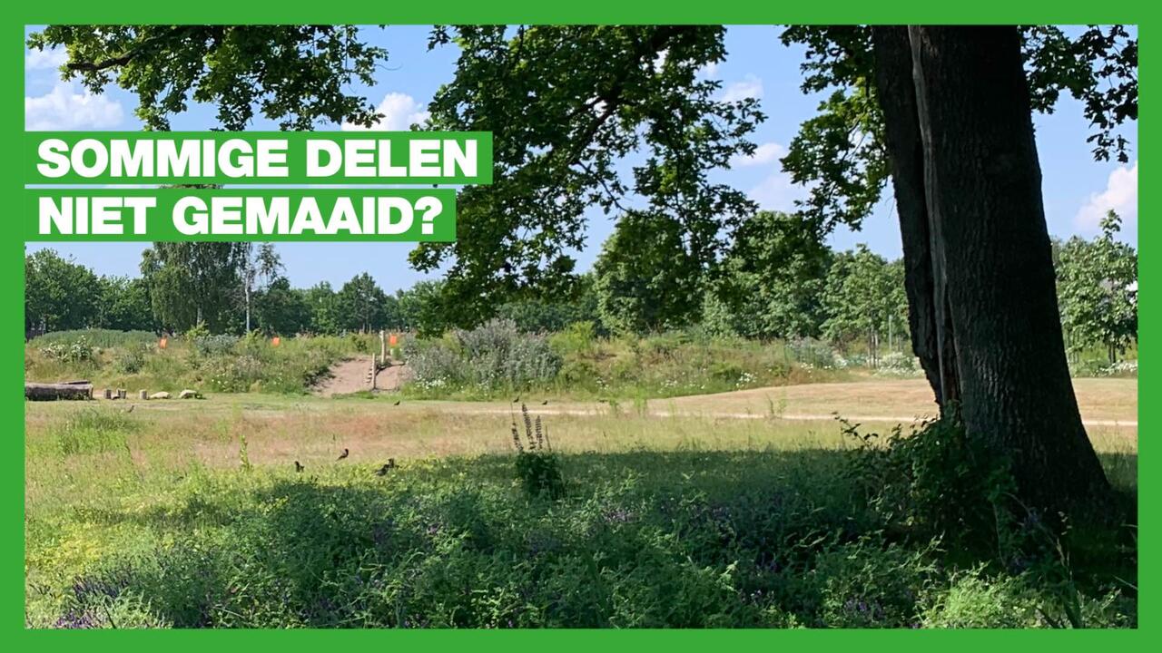 delen maaien